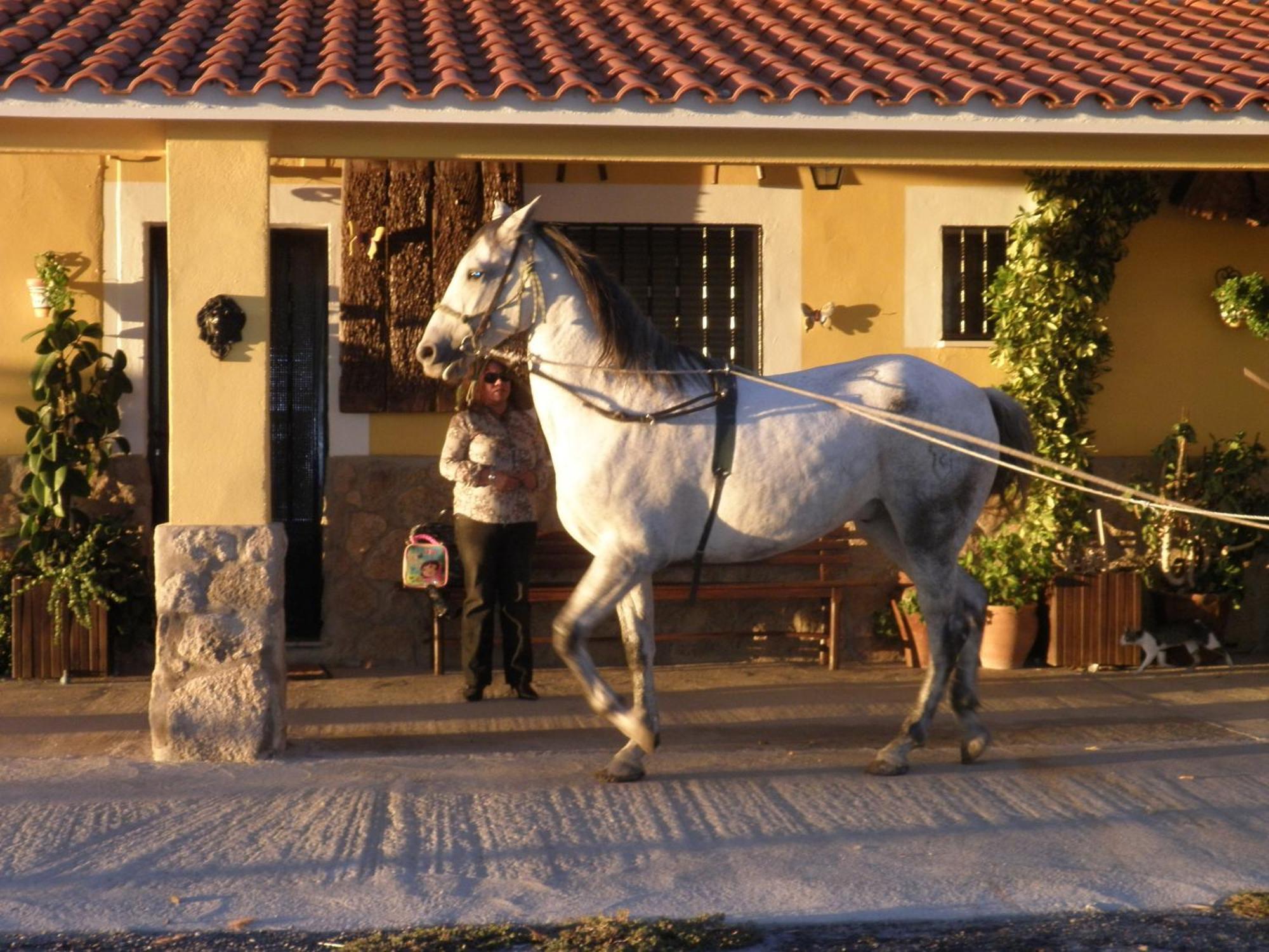 La Posada Hipica Rosalejo  Buitenkant foto