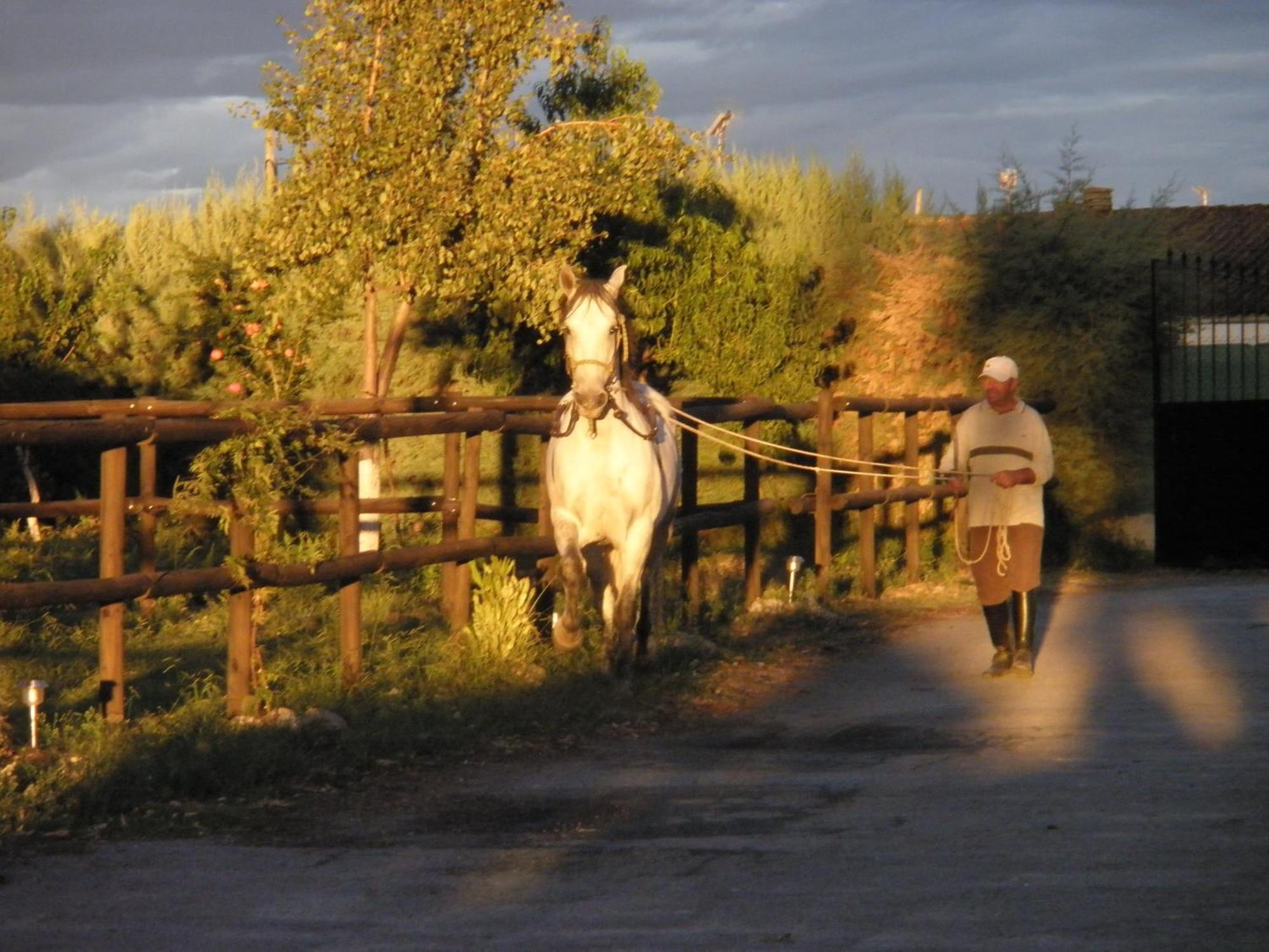 La Posada Hipica Rosalejo  Buitenkant foto