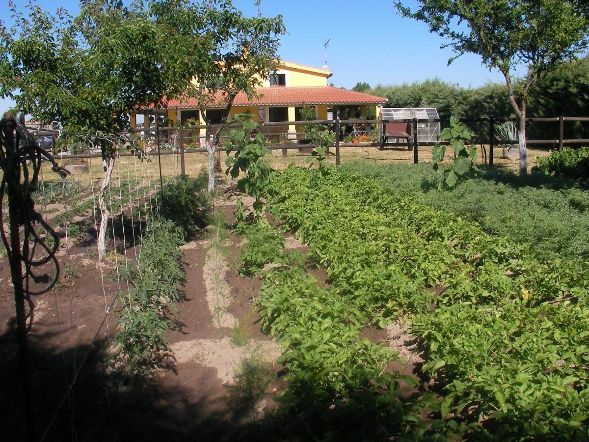 La Posada Hipica Rosalejo  Buitenkant foto